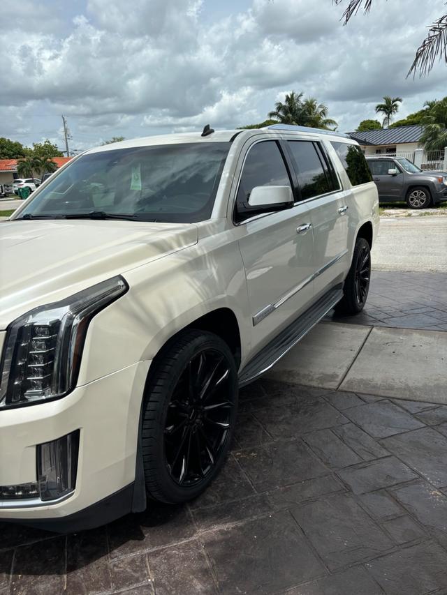 Work by D' Roche Detailing